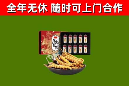 苏仙烟酒回收冬虫夏草礼盒.jpg
